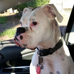 Meet your Posher, Scott